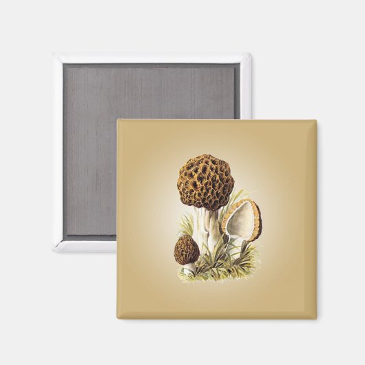 Morel Mushroom Magnet (Vorderseite/Rückseite)