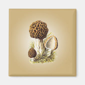 Morel Mushroom Magnet (Vorne)