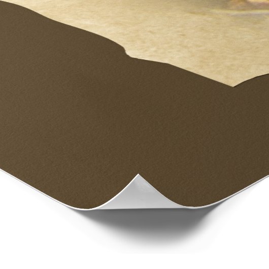 Morel Mushroom Poster (Ecke)