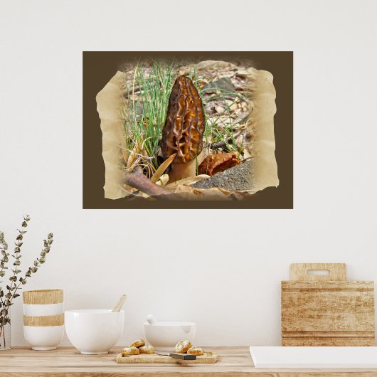 Morel Mushroom Poster (Küche)