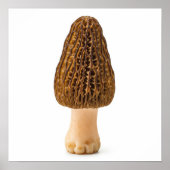 Morel Mushroom Poster (Vorne)