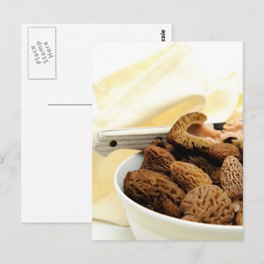 Morel Mushroom Postkarte (Vorne/Hinten)