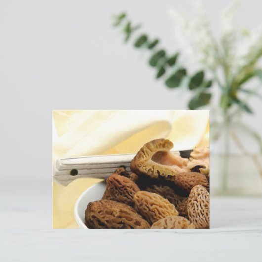 Morel Mushroom Postkarte (Stehend Vorderseite)