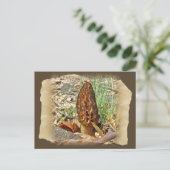 Morel Mushroom Postkarte (Stehend Vorderseite)