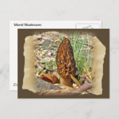 Morel Mushroom Postkarte (Vorne/Hinten)