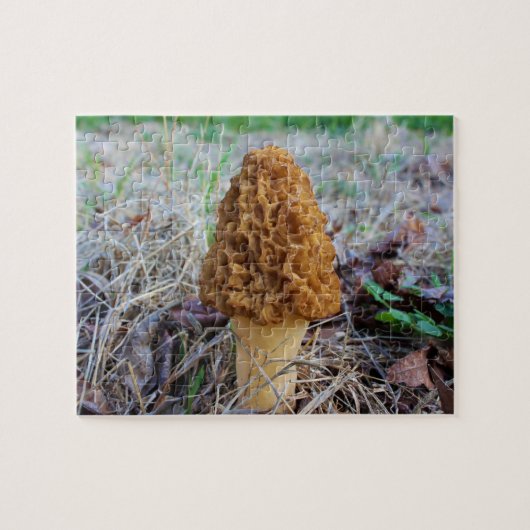 MOREL MUSHROOM Puzzle (Horizontal)