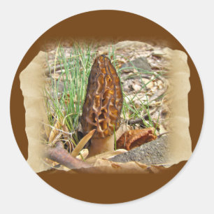 Morel Mushroom Runder Aufkleber