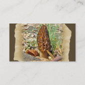 Morel Mushroom Visitenkarte (Rückseite)