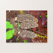 Morel Mushrooms Puzzle (Horizontal)