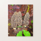 Morel Mushrooms Puzzle (Vertikal)