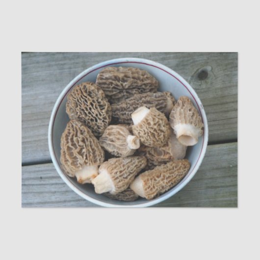 Morel Mushrooms Seidenpapier (Vorderseite)