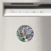 Morel-Pilzmagnet Magnet (In Situ (Geschirrspüler))