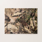 Morel Puzzle (Horizontal)