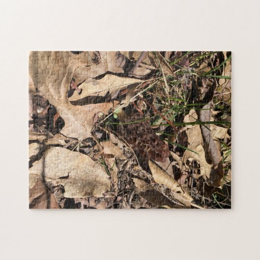 Morel Puzzle (Horizontal)