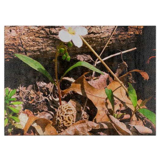 Morel Schneidebrett (Vorderseite)