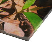 Morel Schneidebrett (Ecke)