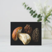 Morels und König Bolete Postkarte (Stehend Vorderseite)