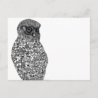 Morepork Postcard Postkarte