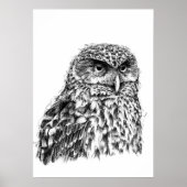 Morepork Poster (Vorne)