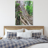 Moreton Bay Fig Tree Roots Leinwanddruck (Insitu (Schlafzimmer))
