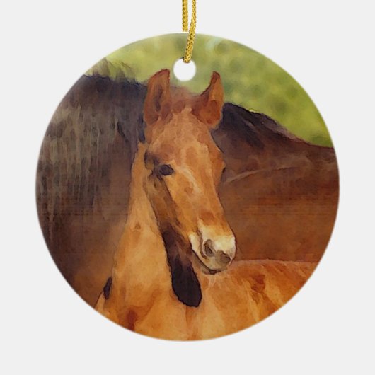Morgan Foal Ornament (Vorne)
