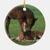 Morgan-Fohlen-Spielen Keramik Ornament (Hinten)