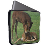 Morgan-Fohlen-Spielen Laptopschutzhülle (Vorne Rechts)