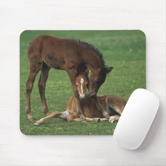 Morgan-Fohlen-Spielen Mousepad (Mit Mouse)