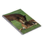 Morgan-Fohlen-Spielen Notizblock (Rechte Seite)