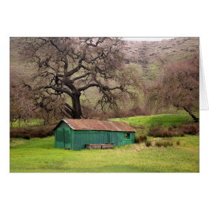 Morgan Hill