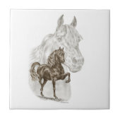 Morgan Horse Art Fliese (Vorderseite)