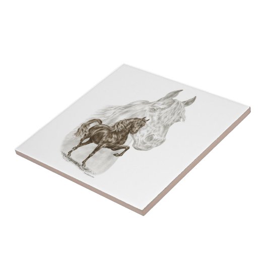 Morgan Horse Art Fliese (Seite)
