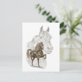 Morgan Horse Art Postkarte (Stehend Vorderseite)