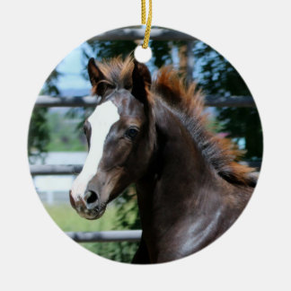 Morgan Horse Baby Ornament