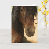 Morgan Horse Beauty Card Karte (Gelbe Blume)