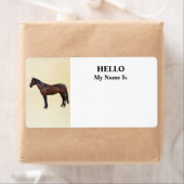 Morgan Horse im Profil (Insitu)