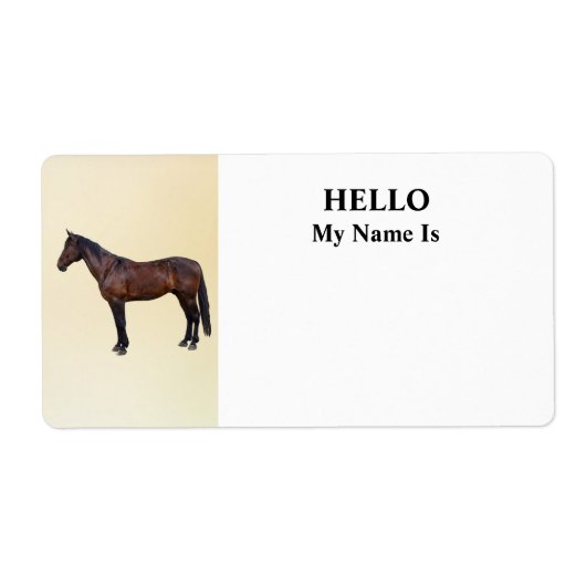 Morgan Horse im Profil (Vorne)