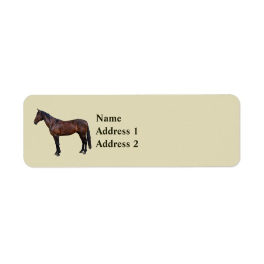 Morgan Horse im Profil (Vorne)