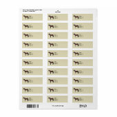 Morgan Horse im Profil (Vorne)