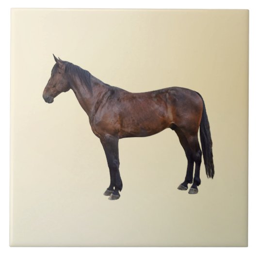 Morgan Horse im Profil Fliese (Vorderseite)