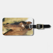 Morgan-PferdeGepäckanhänger Gepäckanhänger (Vorderseite horizontal)