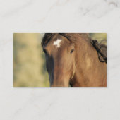 Morgan-PferdeVisitenkarten Visitenkarte (Rückseite)