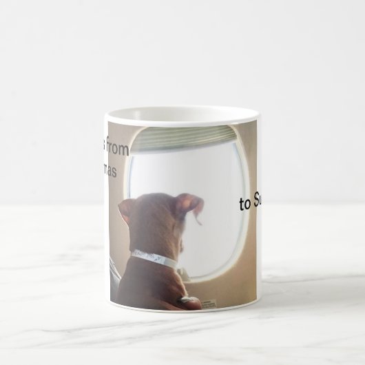 Morgan wird Tasse 2 gerettet (Mittel)