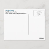 Morgantown WV Skyline Word Cutout Postkarten (Rückseite)