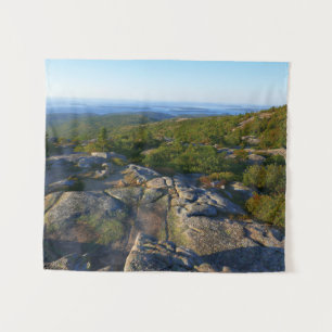 Morgen auf dem Cadillac Mountain in Acadia Wandteppich