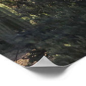 Morgen auf dem King Canyon Trail Poster (Ecke)