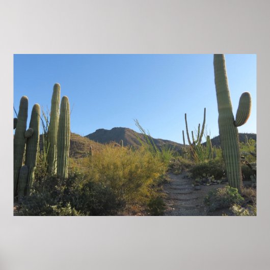 Morgen auf dem King Canyon Trail Poster (Vorne)