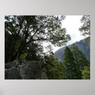 Morgen auf dem Weg zu den Vernal Falls im Yosemite Poster