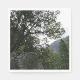 Morgen auf dem Weg zu den Vernal Falls im Yosemite Serviette