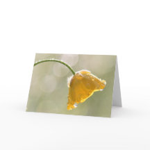 Morgen Buttercup Glückwunsch Geburtstagskarte